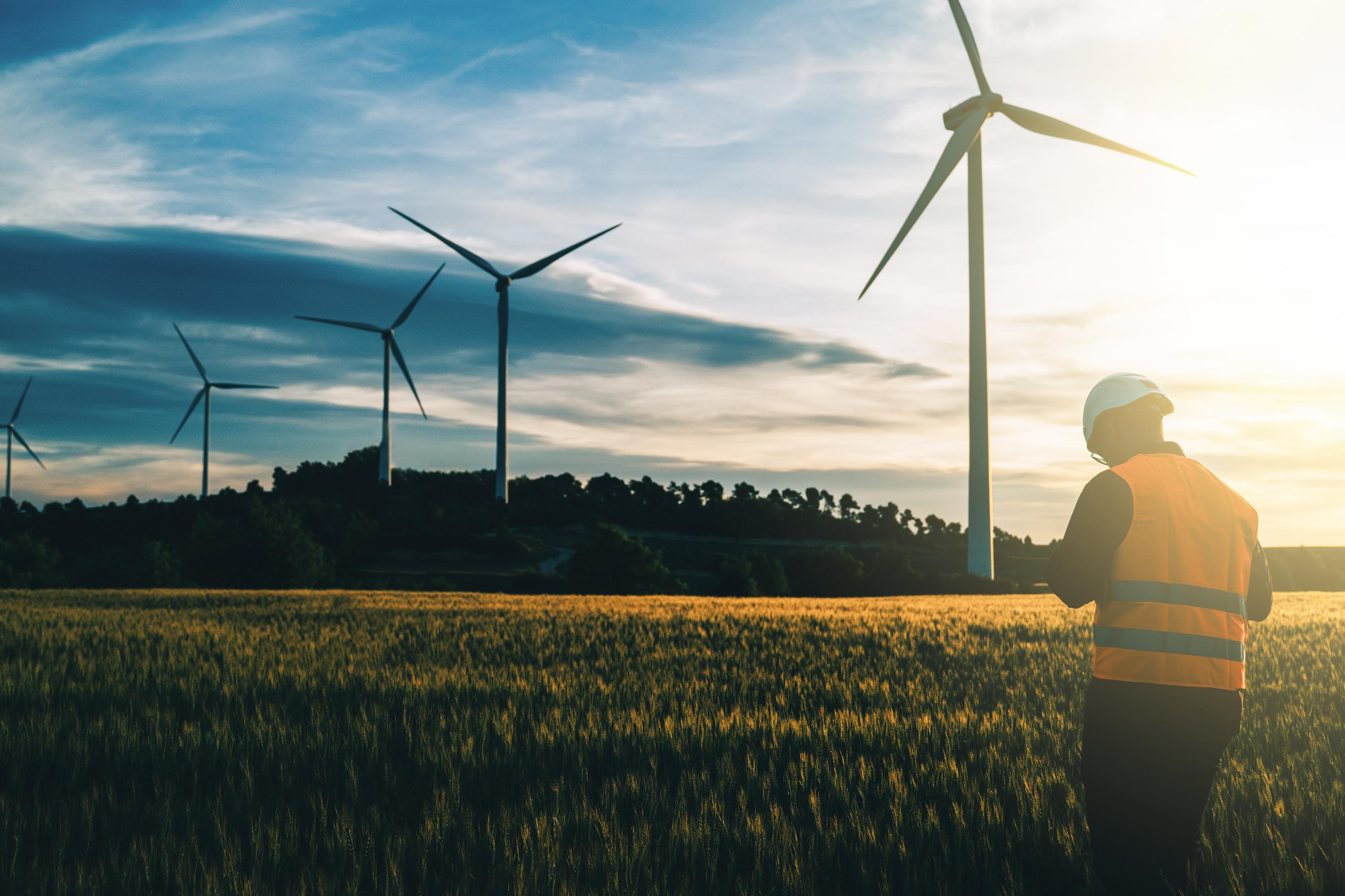 Empowering Australia's Renewable Energy Growth