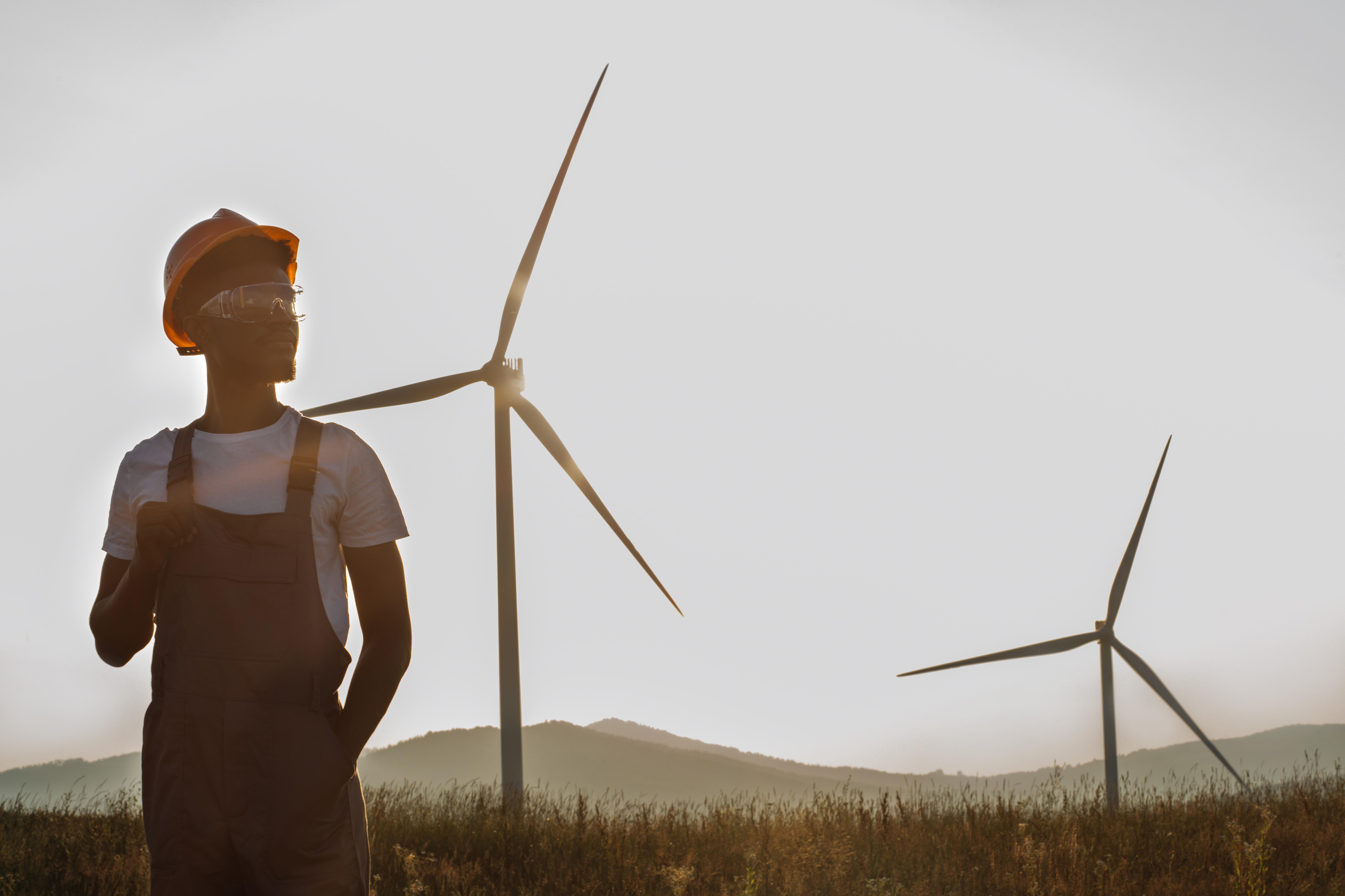 Pathways to Sustainable Energy Ventures