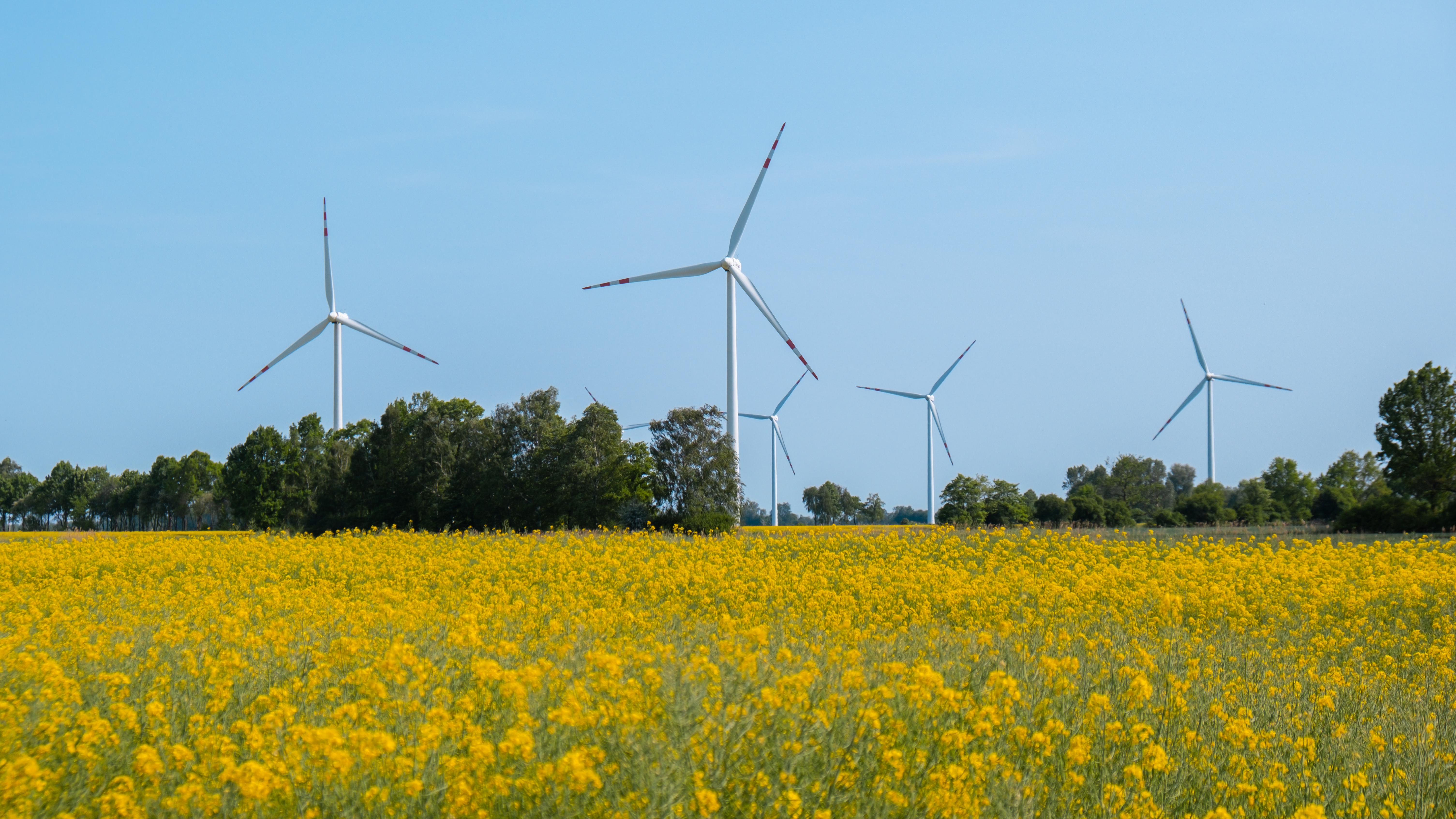 Catalyzing Clean Energy Growth Across Australia with AereaLvyz