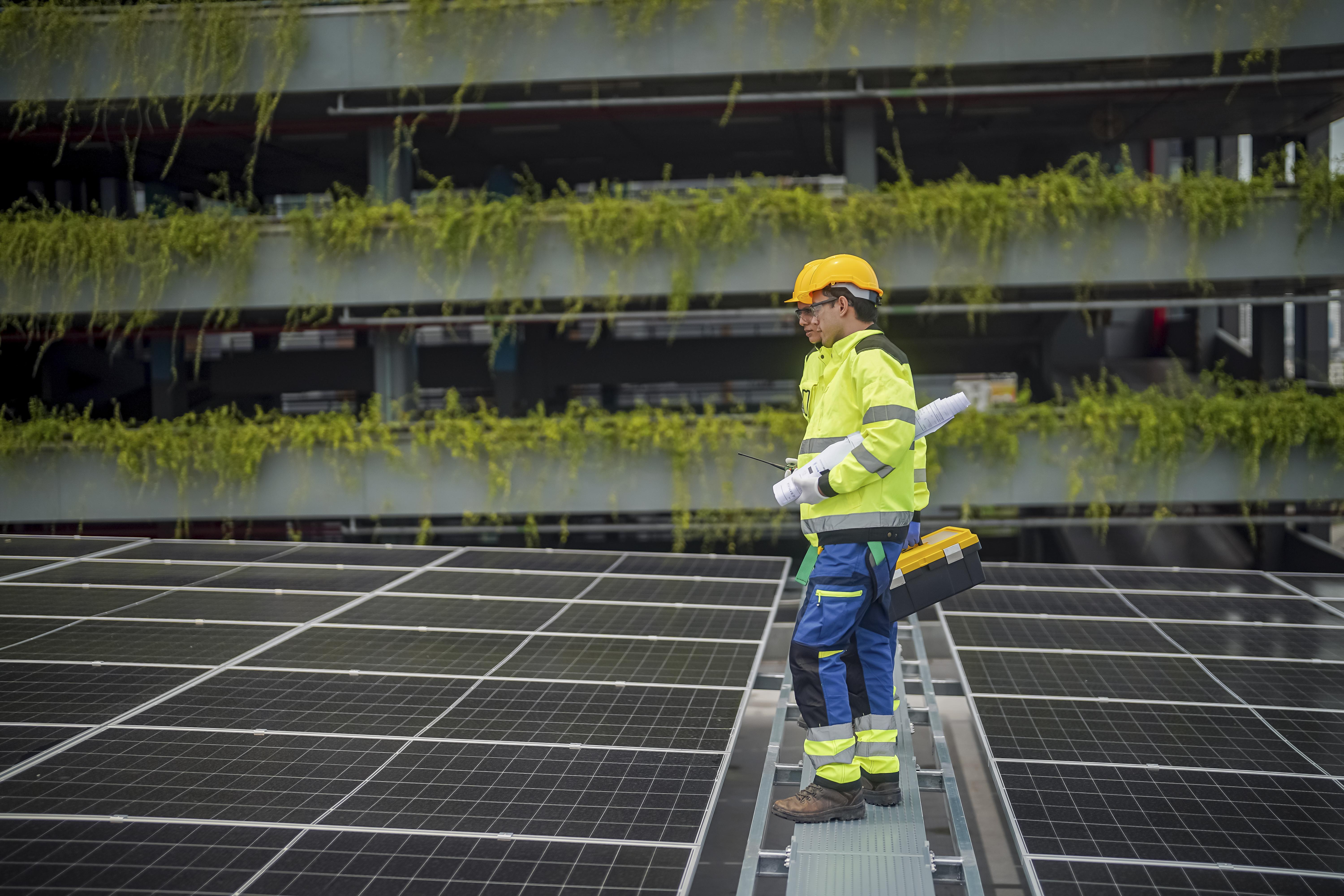Fostering Sustainable Environmental Impact